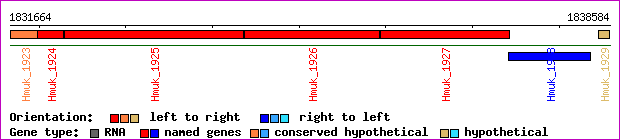 gene map