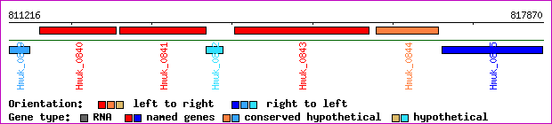 gene map