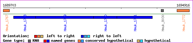 gene map