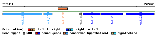 gene map
