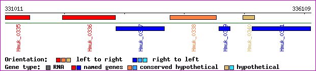 gene map