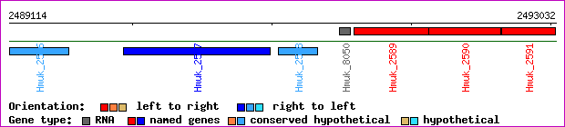 gene map