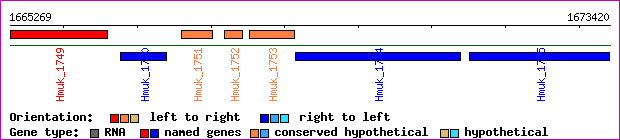 gene map