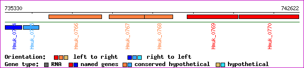 gene map