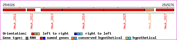 gene map