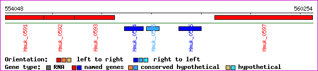 gene map