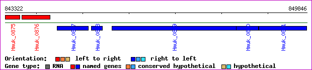 gene map