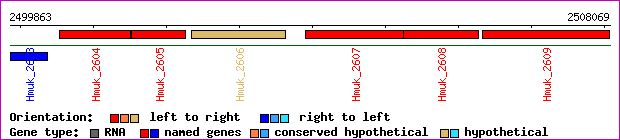 gene map