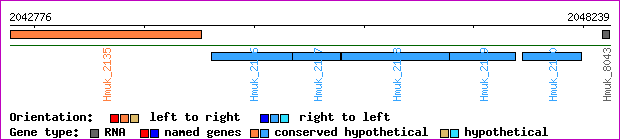 gene map