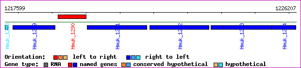 gene map