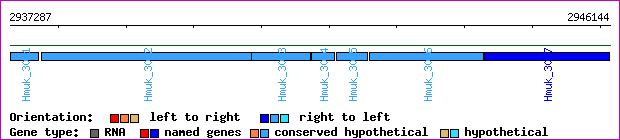 gene map