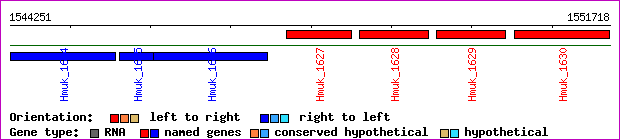 gene map