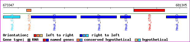 gene map