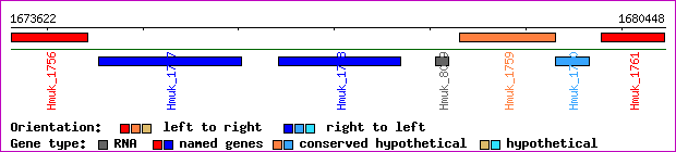 gene map