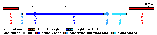 gene map