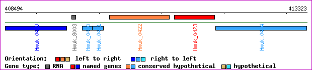 gene map