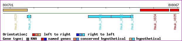 gene map