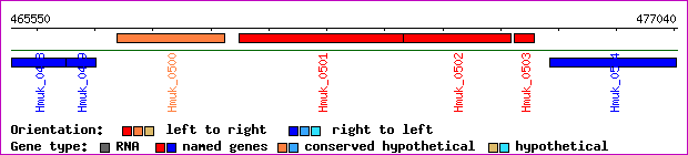 gene map