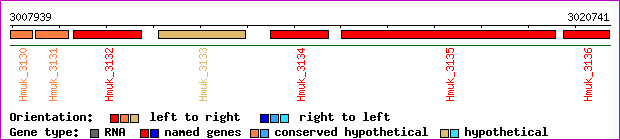 gene map