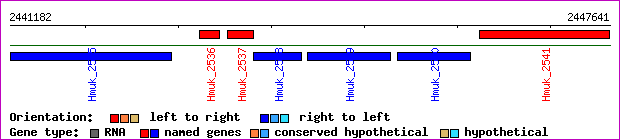 gene map