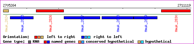 gene map