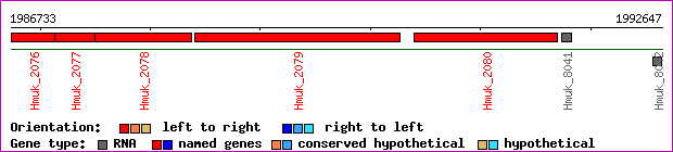 gene map