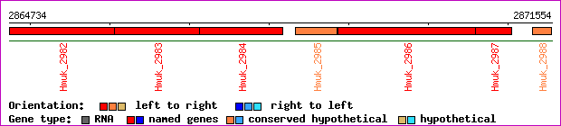 gene map