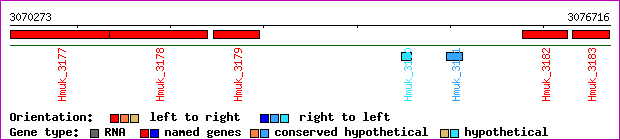 gene map
