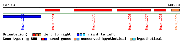 gene map