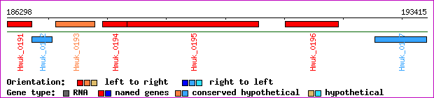 gene map