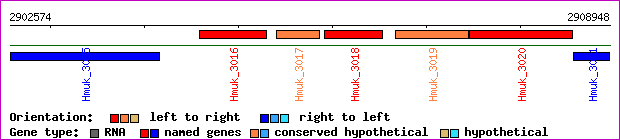 gene map