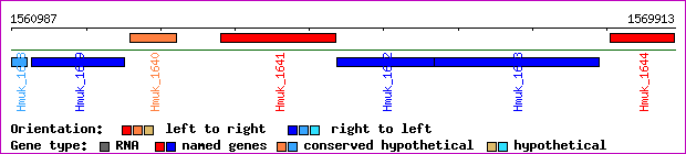 gene map