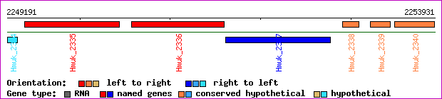 gene map