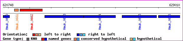 gene map
