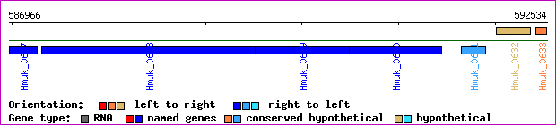 gene map