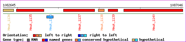 gene map