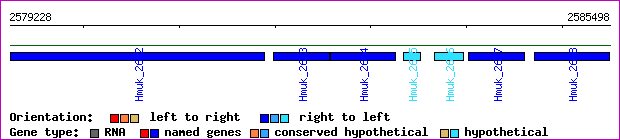 gene map