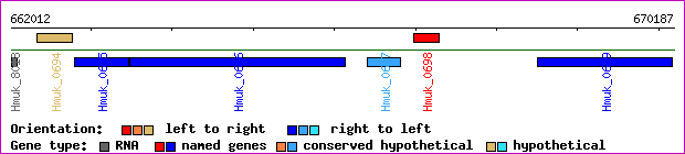 gene map