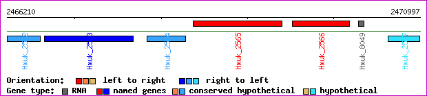 gene map