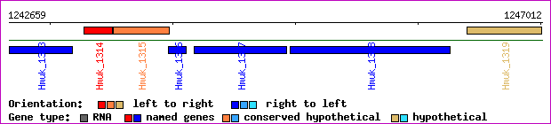 gene map