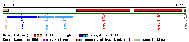 gene map