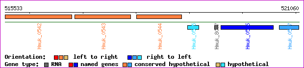 gene map