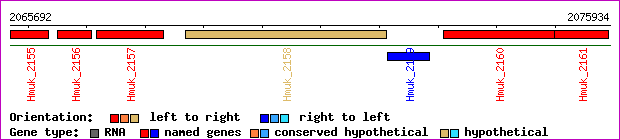 gene map