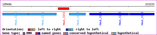 gene map