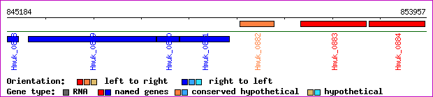 gene map