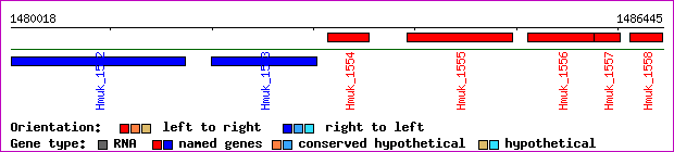 gene map