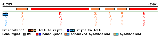 gene map