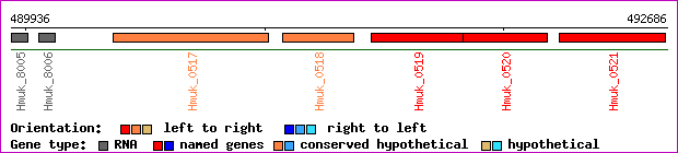 gene map
