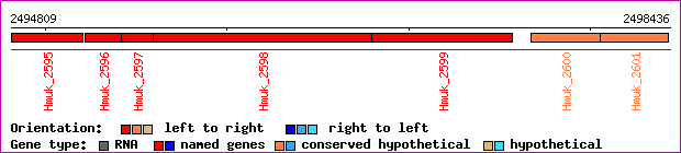 gene map