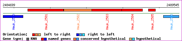 gene map
